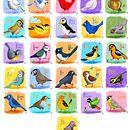 Birds A-Z . Ilustrasi Digital proyek oleh Kim Hyndman - 11.15.2024