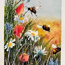 My project for course: Illustrating the Natural World with Watercolor and Charcoal . % susannahrthompson tarafından hazırlanan Geleneksel illüstras, on, Doğalcı İllüstras, on, Ve Tablo projesi - 11.14.2024