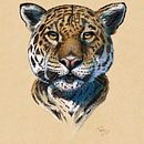 Ilustración Iluninada del curso: Ilustración naturalista de animales con Procreate. Un projet de Dessin réaliste, Illustration traditionnelle, Illustration numérique et Illustration naturaliste de pencilcjp - 14.11.2024