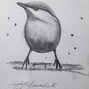 Mi proyecto del curso: Acuarela artística para ilustración de aves . % Elizabeth Larroche Rengifo tarafından hazırlanan Geleneksel illüstras, on, Sulubo, a Resim, Gerçekçi Çizim, Doğalcı İllüstras, Ve on projesi - 11.17.2024