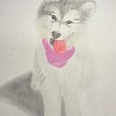 balialaskanmalamute ☺️☺️. Ilustração tradicional e Ilustração naturalista projeto de David Blanco Vargas - 18.11.2024