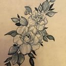 Mi proyecto del curso: Tatuaje botánico con puntillismo Ein Projekt aus dem Bereich Tattoodesign, Traditionelle Illustration und Botanische Illustration von Balearink Sense - 20.11.2024