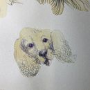 My project for course: Sketchbook Illustration with Pen: Embracing Mistakes. Un progetto di Disegno, Illustrazione con inchiostro, Sketchbook e Bozzetti di Tatiana - 20.11.2024