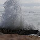 Mój projekt z kursu: Wprowadzenie do fotografii analogowej . Fotografie și Fotografie de film de Maria Zabłocka - 11.22.2024