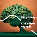 CBDex - SOME pieces . % Radek tarafından hazırlanan Markalaşma ve Kimlik projesi - 11.21.2024