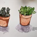 Mon projet du cours : Carnet de croquis botanique : une approche méditative. Un progetto di Bozzetti, Disegno, Illustrazione tradizionale, Illustrazione botanica, Pittura ad acquerello e Sketchbook di Émilie Lucas - 21.11.2024