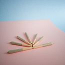 CigarroVerde. Un projet de Photographie de Alex Al - 22.11.2024
