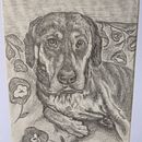 Fritz in Graphite. Ilustração tradicional projeto de tinap1995 - 22.11.2024
