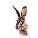Mi proyecto del curso: Técnicas experimentales de acuarela para principiantes. Een project van Traditionele illustratie, Aquarelschilderen,  Beeldende kunst y Naturalistische illustratie van Mildred M Lobo C - 24.11.2024