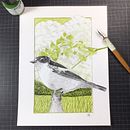 Mon projet du cours : Illustration à l'encre et à la plume : représentez le monde naturel. Desenho artístico, Desenho, Ilustração com tinta, Ilustração naturalista e Ilustração tradicional projeto de Dominique Mauqui - 27.11.2024