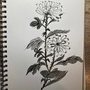My project for course: Introduction to Sumi-e Painting. Drawing, Traditional illustration, Ink Illustration, Fine Arts, and Painting project by Kathy Evans - 11.28.2024