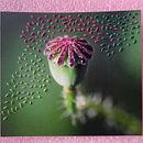 Mi proyecto del curso: Introducción al fotobordado: crea imágenes con textura. Un proyecto de DIY, Bordado, Papercraft, Fotografía y Diseño textil de Silvana Lanchez - 27.11.2024