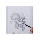 cabeza humana  . % xhimmena tarafından hazırlanan Güzel sanatlar, Çizim, Kalem Çizimi, Şekil Çizimi, Portre Çizimi, Ve Gerçekçi Çizim projesi - 11.29.2024