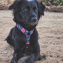 La espera . Fotografi, Dan Video proyek oleh Julieta Medina - 11.29.2024