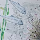 Mi proyecto del curso: Ilustración de universos marinos en acuarela. Un progetto di Illustrazione tradizionale, Illustrazione naturalistica, Pittura e Pittura ad acquerello di Francisca Lechuga - 30.11.2024