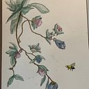 My project for course: Illustrating Nature with Watercolor and Pen. Un proyecto de Ilustración botánica, Dibujo, Bellas Artes, Ilustración tradicional, Pintura y Pintura a la acuarela de Tony Araiza - 03.12.2024