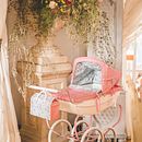 jardin en casa- BabyshowerMJ. Projekt z dziedziny Design użytkownika genesis Pamela polanco baez - 03.12.2024