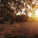 La comunidad. Un progetto di Fotografia e Narrativa di bursztynaye - 05.12.2024