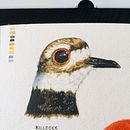 My project for course: Artistic Watercolor Techniques for Illustrating Birds. Projekt z dziedziny Trad, c, jna ilustracja, Malowanie akwarelą, R, sunek realist, czn, Ilustracja naturalist i czna użytkownika Aditi Jain - 05.12.2024
