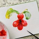 My project for course: Realistic Botanical Illustration: Escape to Nature. Projekt z dziedziny  Malarstwo, Malowanie akwarelą, R, sunek botaniczn, Ilustracja naturalist i czna użytkownika Aditi Jain - 05.12.2024