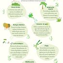 Jardinería sostenible es posible hacerla en las ciudades. Projekt z dziedziny Edukacja użytkownika Vivi - 09.12.2024