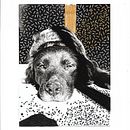 Che Pongo! Ein Projekt aus dem Bereich DIY, Stickerei, Kartonmodellbau, Fotografie und Textildesign von brunella alfinito - 11.12.2024