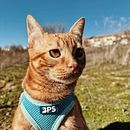 Michi amor . Fotografia, Fotografia de retrato, Fotografia Lifest, le, Fotografia para Instagram, e Fotografia documental projeto de Virginia Lara - 09.12.2024