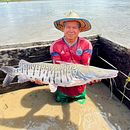 Biochicoas Turismo. Een project van Fotografie van Edith Gomez - 12.12.2024