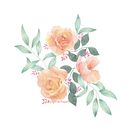 Rosas naranja. Watercolor Painting project by Ana Hernández - 12.16.2024