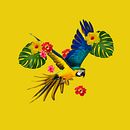 Tropical  . % antonygodinez1999 tarafından hazırlanan Moda Tasarımı, Baskı, Ve Desen Tasarımı projesi - 12.23.2024