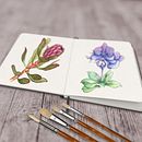 My Botanical Sketches Created With A Meditative Approach . % humanetiger tarafından hazırlanan Eskiz çizimi, Çizim, Geleneksel illüstras, on, Botanik İllüstras, on, Sulubo, a Resim, Ve Eskiz defteri projesi - 12.24.2024