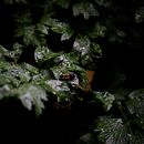Experimento de lente. Un projet de Photographie de David Portal - 24.12.2024