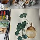 Watercolour practice no1 . % skubanero tarafından hazırlanan Güzel sanatlar, Çizim, Geleneksel illüstras, on, Tablo, Sulubo, a Resim, Botanik İllüstras, Ve on projesi - 12.26.2024