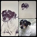 My Dog. Un projet de Dessin, Dessin réaliste, Illustration traditionnelle et Illustration naturaliste de Camilo Muñoz - 29.12.2024