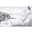 Flying free on the beach. Un projet de Dessin artistique, Dessin, Illustration à l'encre, Illustration naturaliste, Carnet de croquis , et Esquisse  de fahmi.jeanshidayat - 29.12.2024