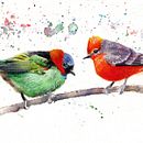 Una coppia di uccelli dalle piume colorate Ein Projekt aus dem Bereich Traditionelle Illustration, Aquarellmalerei, Realistische Zeichnung und Naturalistische Illustration von vik_011 - 29.12.2024