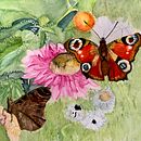 Butterflies and flowers. Projekt z dziedziny R, sunek botaniczn, Trad, c, jna ilustracja, Ilustracja naturalist, czna, Sketchbook i Malowanie akwarelą użytkownika Didier Van Impe - 29.12.2024