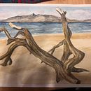 Driftwood on Ardeer Beach. Un proyecto de Pintura a la acuarela de Grant Francis - 30.12.2024