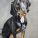 Leroy. Artes plásticas, Ilustração naturalista, Pintura a óleo, e Pintura projeto de Ellen Bonney - 30.12.2024