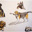 Abschlussprojekt Aufgaben des Onlinekurses *Spezialisierung in Sketching-Techniken*. Een project van  Schetsen,  Botanische illustratie, Kinderillustratie,  Illustratie met inkt, Naturalistische illustratie,  Architecturale illustratie,  Artistieke tekening, Ontwerp van personages, Tekenen met kleurpotloden,  Creativiteit,  Tekening, Anatomisch tekenen,  Beeldende kunst, Schilderen met gouache, Tekening met potlood,  Portrettekening, Realistische tekening, Traditionele illustratie y Aquarelschilderen van Marleen Utech - 01.01.2025
