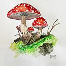 TOADSTOOLS-Pen and Watercolor . Un progetto di Disegno, Pittura ad acquerello e Illustrazione con inchiostro di Sandra H - 03.01.2025