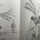 My project: thanks to Vorja Sánchez's excellent course! Ein Projekt aus dem Bereich Zeichnung, Naturalistische Illustration, Bleistiftzeichnung, Sketchbook und Aquarellmalerei von miss_chanoille - 06.01.2025