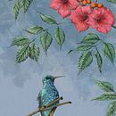 Hummingbird and red trumpet vine Ein Projekt aus dem Bereich Botanische Illustration, Digitale Illustration, Traditionelle Illustration, Illustration mit Tinte, Naturalistische Illustration, Malerei und Aquarellmalerei von Cher Cowan - 08.01.2025