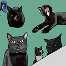 My friends' cats. Projekt z dziedziny R, sunek c, frow, Ilustracja c, frowa,  R i sunek użytkownika veronika_cvrkalova - 11.01.2025