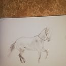 Dessin animal au crayon graphite  . Figura Desen, Desen în creion, Desen de portret, Caiet de schițe și Schițe de jasmine973 - 01.14.2025