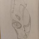 Sketch of De Tomaso P72  Ein Projekt aus dem Bereich Design, Industriedesign, Produktdesign und Skizzenentwurf von mamamayday - 15.01.2025