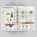 Global forest loss. Un proyecto de Diseño gráfico, Infografía, Diseño de la información y Diseño interactivo de Sarah Hanbali - 16.01.2025
