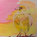 BIRDS. Sketchbook, Artistic Drawing, Colored Pencil Drawing, and Watercolor Painting project by Juliette Roché - 01.18.2025