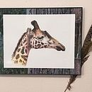 Realistic wildlife Project giraffe. Projekt z dziedziny  Sztuki piękne, Ilustracja naturalist, czna,  Malarstwo i Malowanie akwarelą użytkownika Marilyn Allen - 20.01.2025