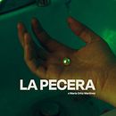LA PECERA. Un progetto di Fotografia, Arte concettuale e Direzione artistica di María Ortiz - 21.01.2025